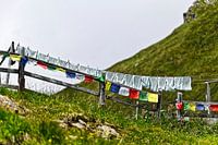 tibetische Gebetsfahnen