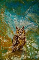 Long-eared owl (Asio otus) I Kaiserstuhl