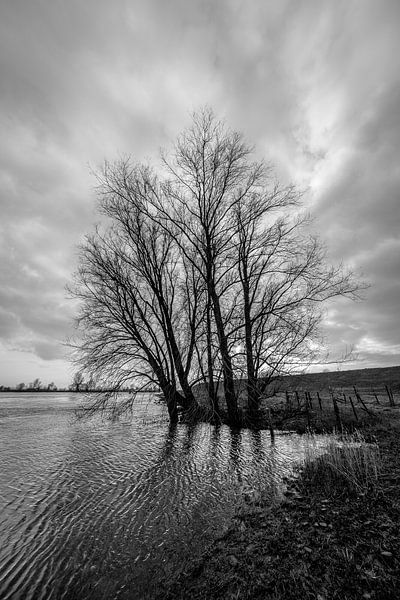 Hochwasser in den Überschwemmungsflächen des Flusses Lek. von Tony Buijse