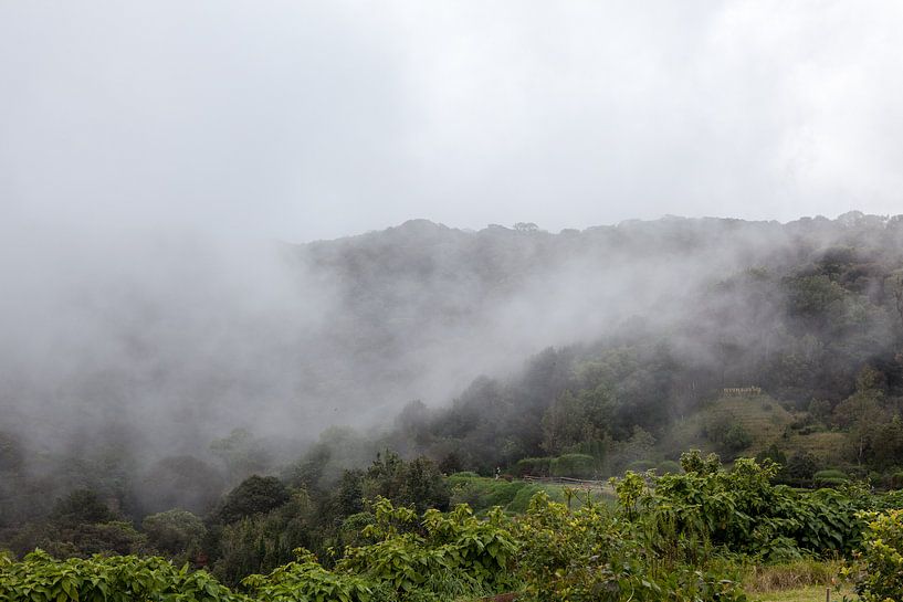 Mist trekt over de bergen by Marcel Derweduwen