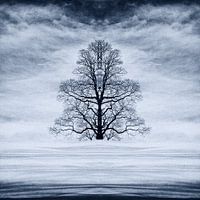 Arbre dans la neige dans les Alpes suisses