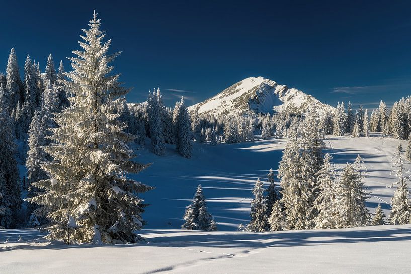 Winterwandern im Tannheimer Tal morgens bei blauem Himmel von Daniel Pahmeier