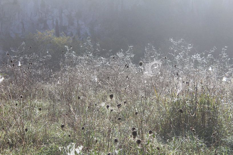 mist and cobwebs Halloween by Patrick van beek76