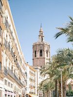 L'architecture de Valence // Espagne // Photographie de voyage et de rue