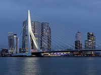Erasmus Bridge Rotterdam