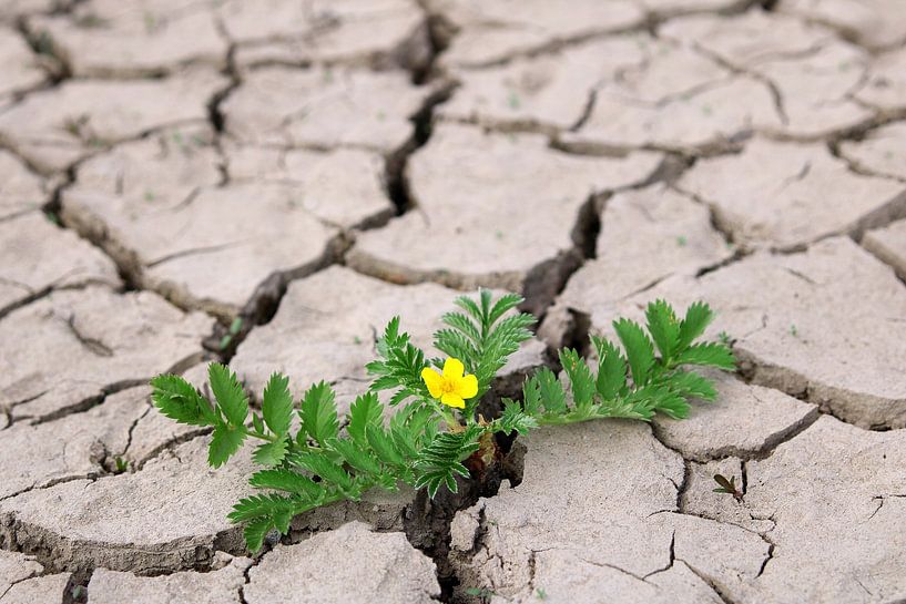 Faith and hope by Rüdiger Rebmann