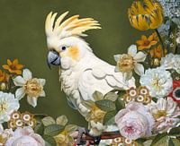 Still Life (with cockatoo)