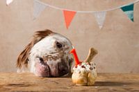 Hey gâteau d'anniversaire!