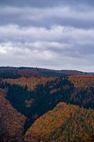 Herbst in der Eifel
