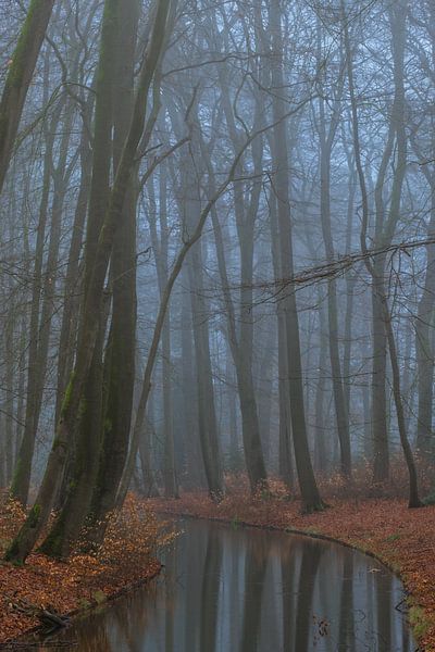 Réflexions par Moetwil en van Dijk - Fotografie