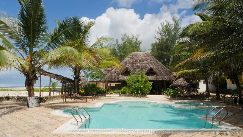 Swimmingpool mit Palmen und Bambushütte auf tropischer Insel von Robin Jongerden