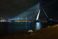 Erasmusbrug Rotterdam in de avond