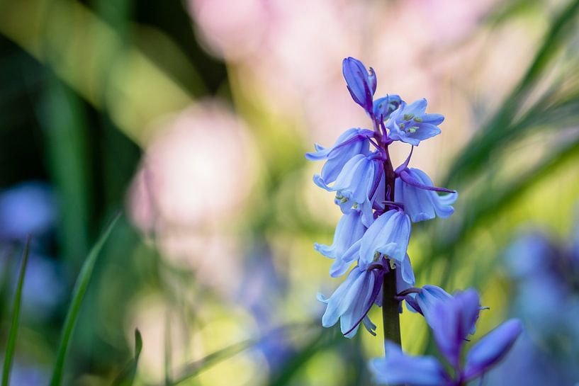 Waiting For The Sun par wimke247