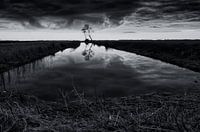 Zwischen See und Wald (2)