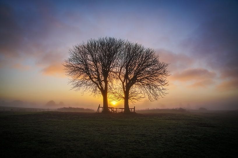 Beau couple par Dirk van Egmond