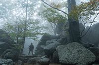 Caspar David Friedrich Inszenierung im mystischen Wald