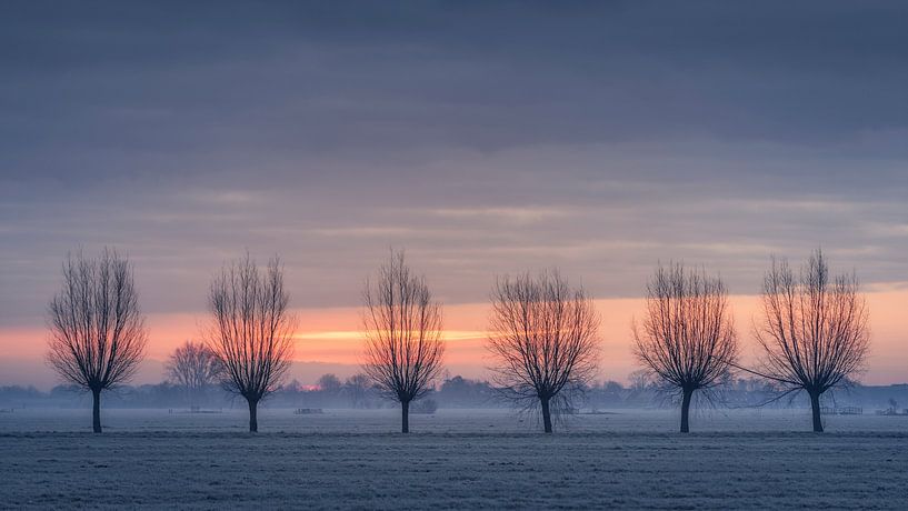 6 in a row von Erik de Jong