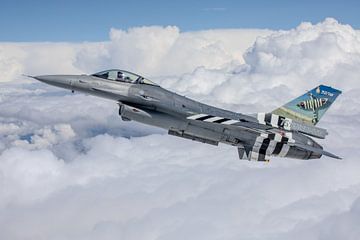 Luchtfoto Belgische F-16AM met special paint