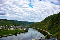 Wine fields near Beilstein on the Mosel.