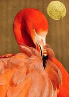 Flamingo mit goldener Sonne