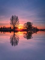 Lever du soleil Meinerswijk