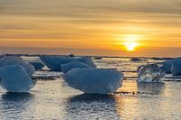 IJsbergen op strand, IJsland