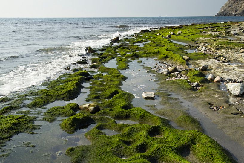 Der grüne Strand von Cornelis (Cees) Cornelissen