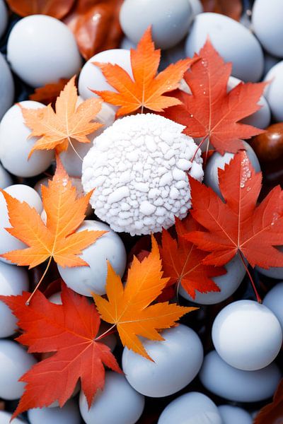 Fusion hivernale par ByNoukk