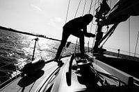 Segeln - Oosterschelde