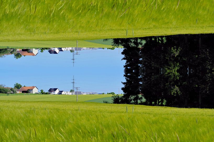 Village by Daniel Dorst