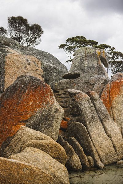 La baie des incendies : une mosaïque de couleurs et de nature par Ken Tempelers