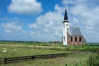 Church meadow Den Hoorn Texel