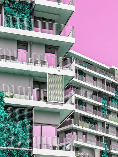 Vision rose de l'architecture urbaine par Mixed media vector arts