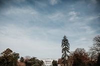 The White House | Washington D.C., Amerika (Vereinigte Staaten)