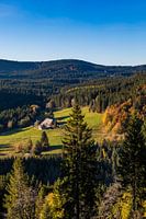 Black Forest House in the Upper Black Forest