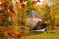 Herfst Watermolen