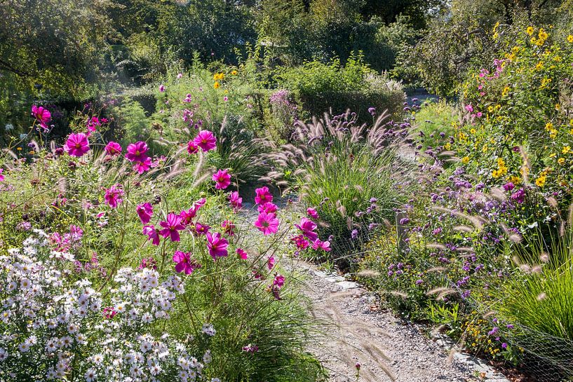 Herbstliche Blumenbeete im Münchner Westpark von SusaZoom