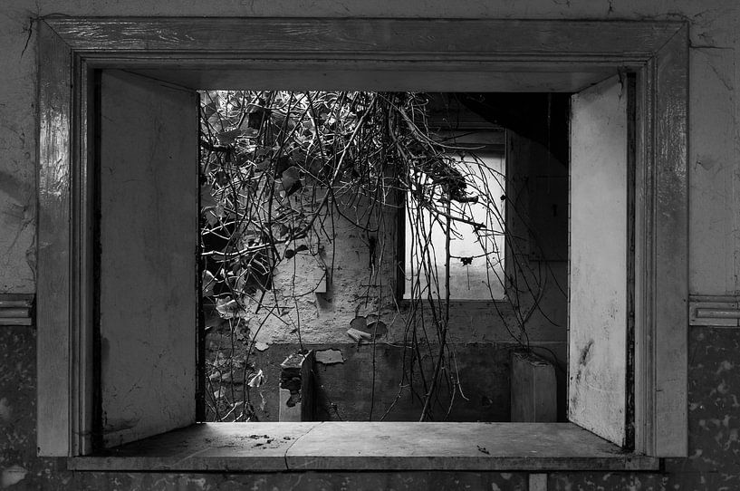 La nature reprend ses droits par Sander Strijdhorst