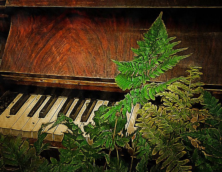 Fern Elise par Dorothy Berry-Lound