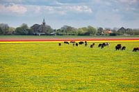 Leckeres Niederländisch