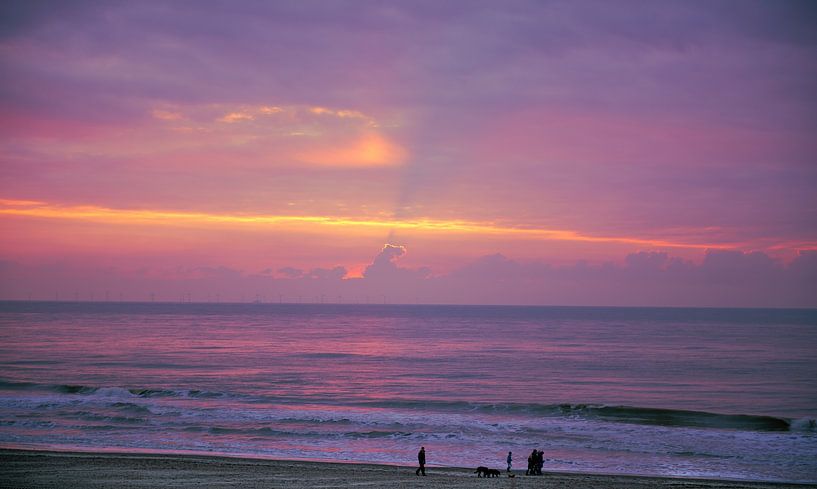 Beach Of Zandvoort by Brian Morgan