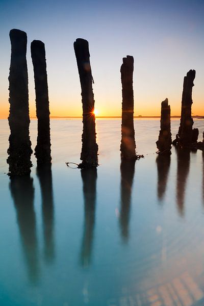 Beiträge von Hillebrand Breuker