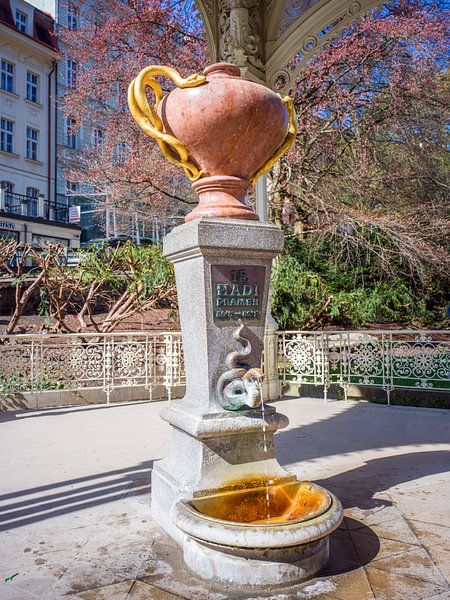 Karlsbad / Karlovy Vary - Schlangenquelle von t.ART