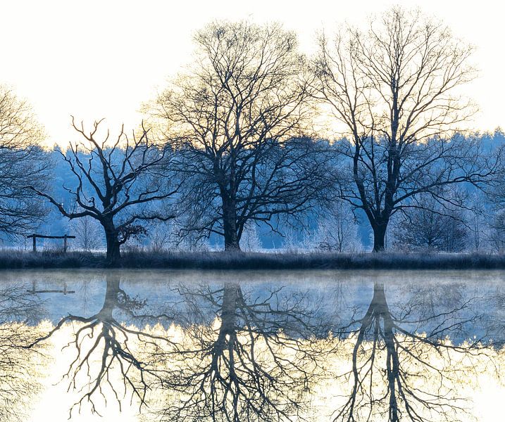 Dwingelderveld (Nederland) van Marcel Kerdijk