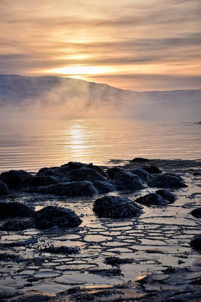 A cold winter morning by Elisa in Iceland