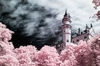 Märchenhaftes Infrarot-Schloss Neuschwanstein mit rosa Bäumen und dramatisch blauem Himmel. Fotoabzug.