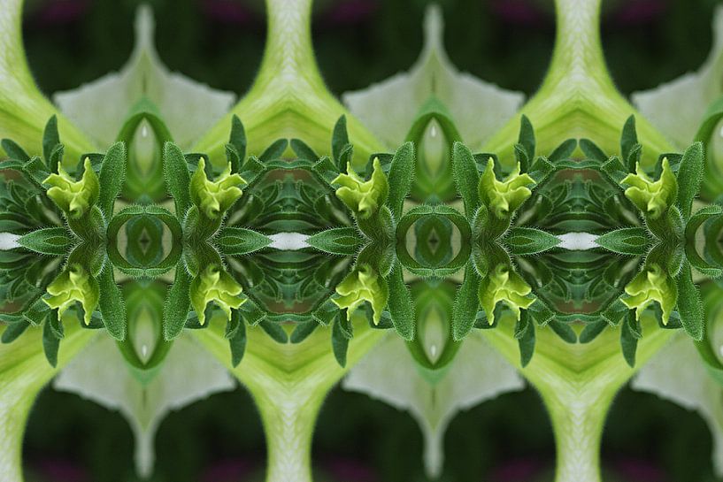 Greenful part II by Corina Scheepers-de Mooij