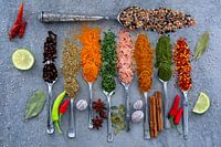 Kräuter und Gewürze auf Löffeln