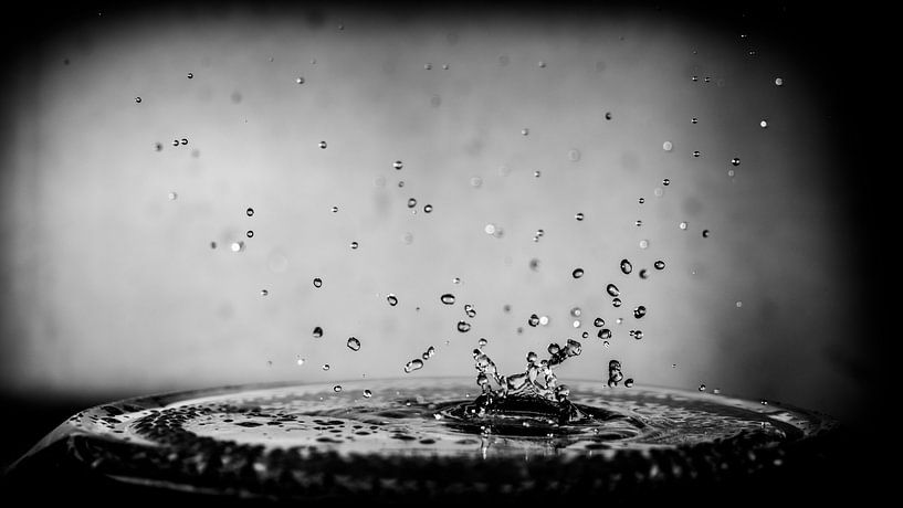 du ciel, un atterrissage au milieu de la flaque, un nuage d'éclaboussures en conséquence par Hans de Waay