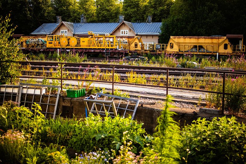 Trains de Maintenance Jaunes à la Petite Gare – Rails &amp; Nature par Studio Grille-Pain – Création Photo